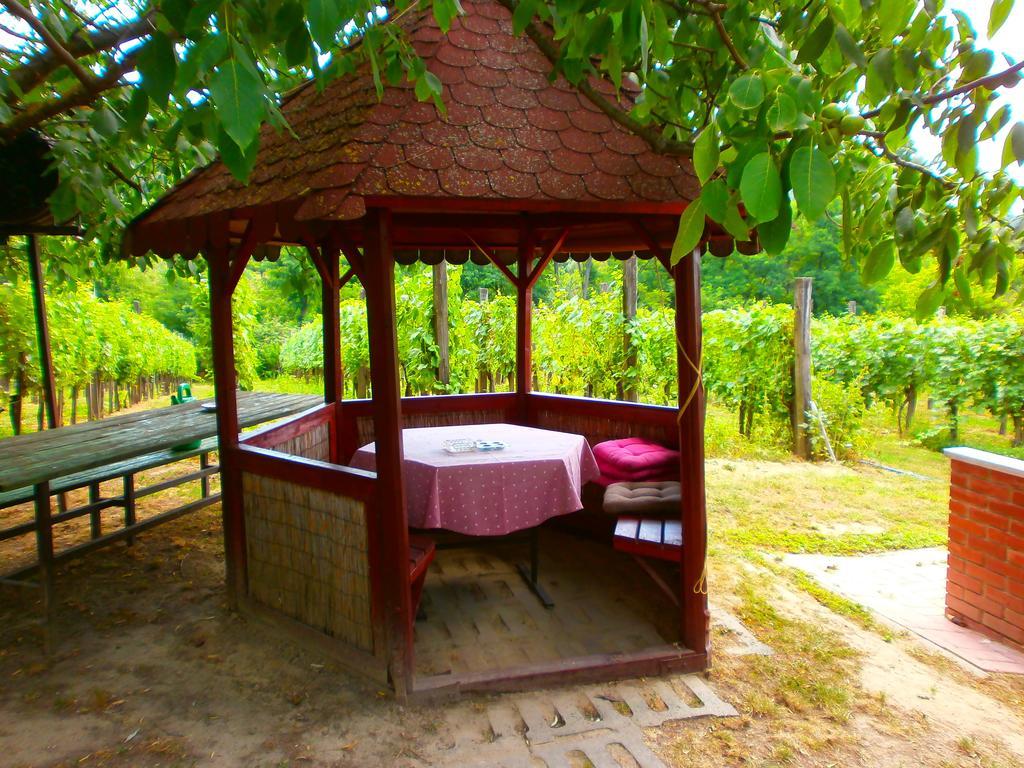 Klara Vendeghaz Villa Badacsonyörs Екстериор снимка